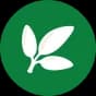leaf_image